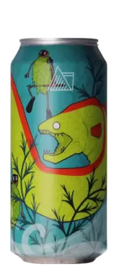 Wander Beyond Moray Mist