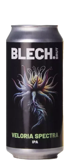 Blech.Brut Veloria Spectra