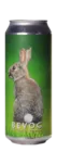Bevog Extinction Is Forever!: New England Cottontail