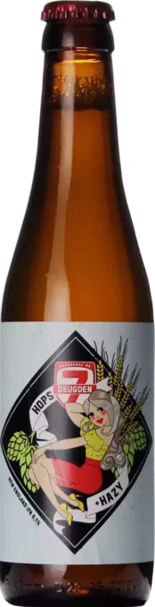 De 7 Deugden Hops+Hazy 33 IPA Bier kopen