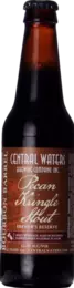 Central Waters Brewer's Reserve Bourbon Pecan Kringle Stout