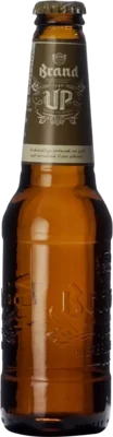 Brand Up 33 Pils Bier kaufen