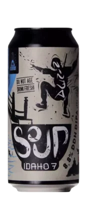 Mad Scientist Ninja soup Idaho 7