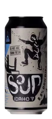 Mad Scientist Ninja soup Idaho 7