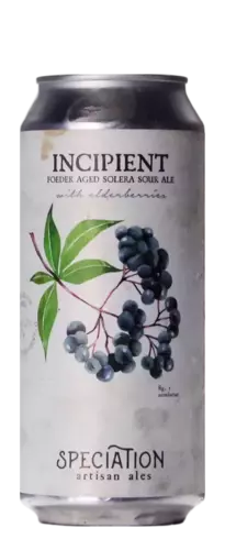 Speciation Artisan Ales Incipient (Elderberry)