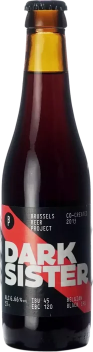 Brussels Beer Project Dark Sister