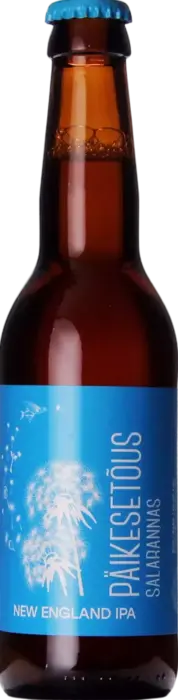 Lehe Paikesetous Salarannas (Sunrise on the Secret Beach)