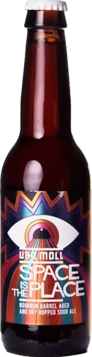 Van Moll Space Is The Place