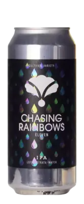 Bearded Iris Chasing Rainbows Eleven
