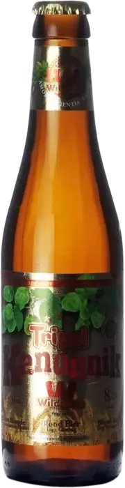 Wilderen Tripel Kanunnik