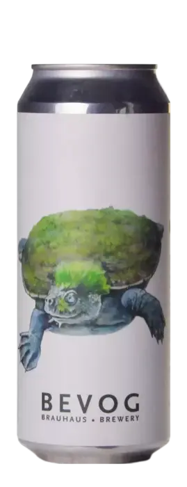 Bevog Extinction Is Forever!: Mary River Turtle