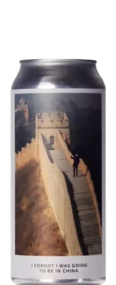 Evil Twin I Forgot I Was Going To Be In China