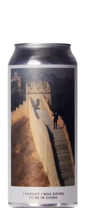 Evil Twin I Forgot I Was Going To Be In China