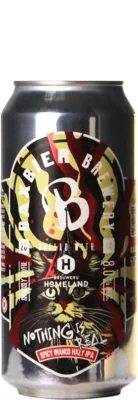 Baxbier / Homeland Nothing Is Real