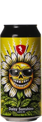 Rock City Daisy Sunshine