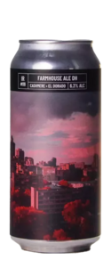 Noiseless IR#09 - Farmhouse Ale Dryhopped