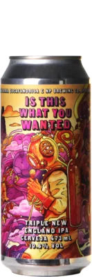 Cervejaria Escafandrista / NP Brewing Is This What You Wanted