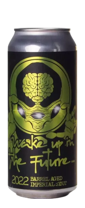 DC Brau Wake Up In The Future (2022)
