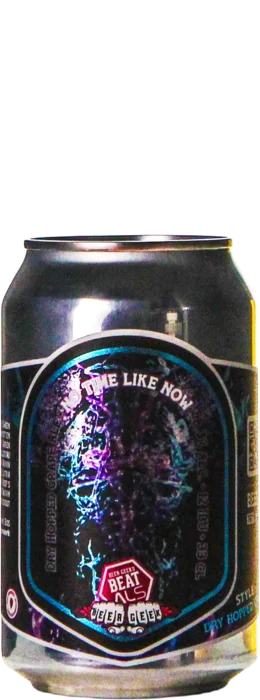 Beer Geeks Beats ALS Megacollab No Time Like Now 33 Zwaar Blond Bier kopen