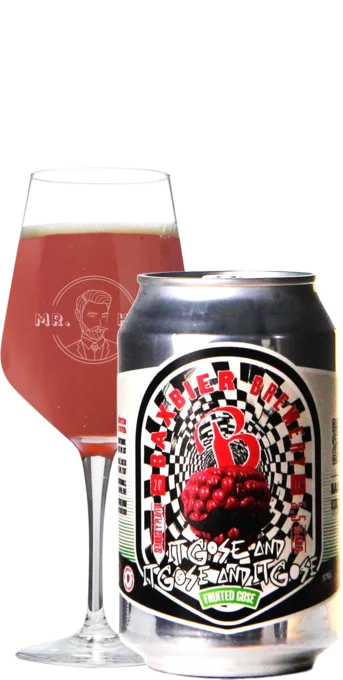 Baxbier It Gose And It Gose And It Gose