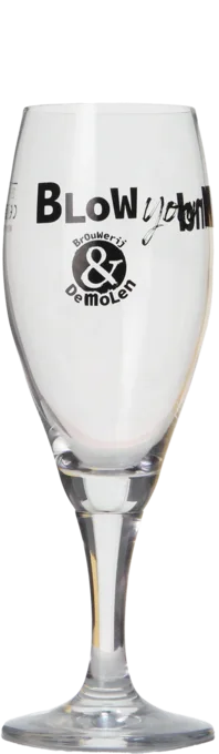 De Molen Voetglas 25cl 25 Bier kopen