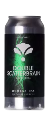 Bearded Iris Double Scatterbrain DDH W/ Citra
