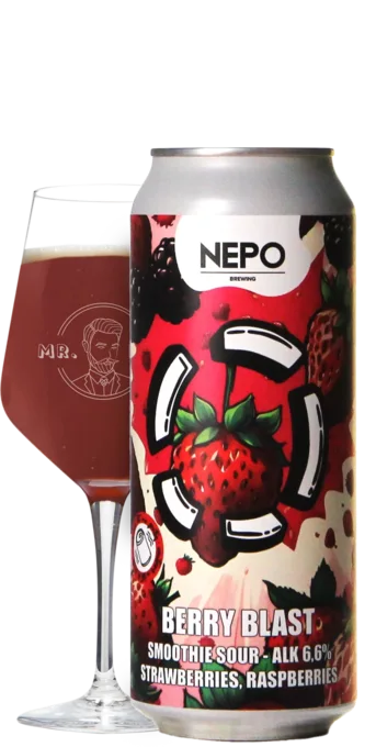 LOST / Nepo Brewing Berry Blast