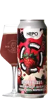 LOST / Nepo Brewing Berry Blast