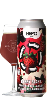 LOST / Nepo Brewing Berry Blast
