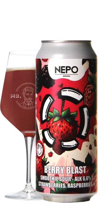 LOST / Nepo Brewing Berry Blast